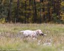 20211010-wcl-1150