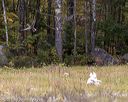 20211010-wcl-1220