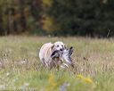 20211010-wcl-1321