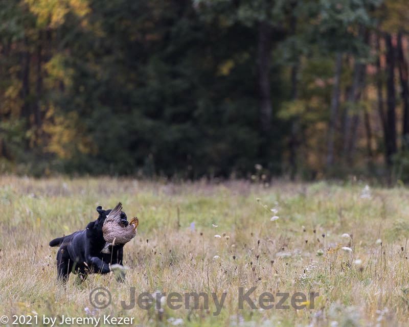 20211010-wcl-0044.jpg