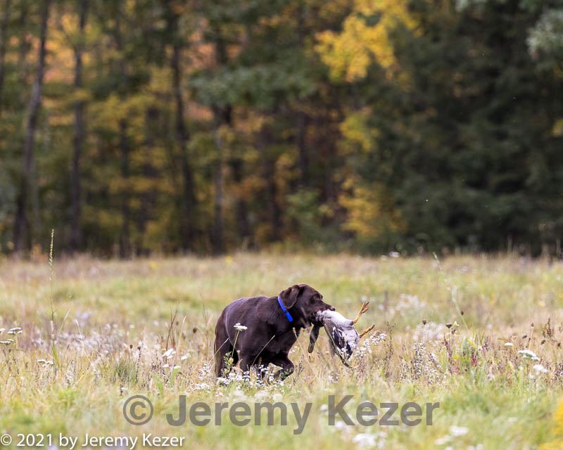 20211010-wcl-0315.jpg