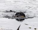 20211010-wcw-0590