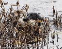 20211010-wcw-1090