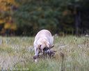 20211010-wcxl-0057