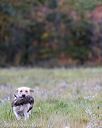 20211010-wcxl-0082