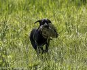 20220605-finw-1352
