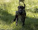 20220605-finw-1528