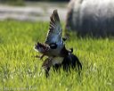 20220723-jhl-1327