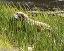 20220723-jhw-0195