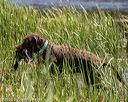 20220723-jhw-0717