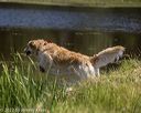 20220723-jhw-1421