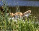 20220723-jhw-1427
