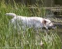 20220723-jhw-1807