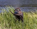 20220723-jhw-2240