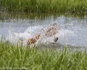 20220724-jhw-0331