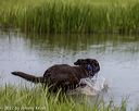 20220724-jhw-0615