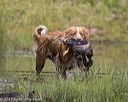 20220724-jhw-0786