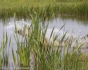 20220724-jhw-1016