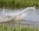20220724-jhw-1077
