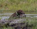 20220724-jhw-1197