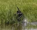 20220724-jhw-1373