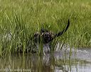 20220724-jhw-1376