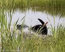 20220724-jhw-1545