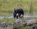 20220724-jhw-1557