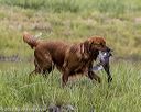 20220724-jhw-1893