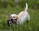 20220724-jhw-2228
