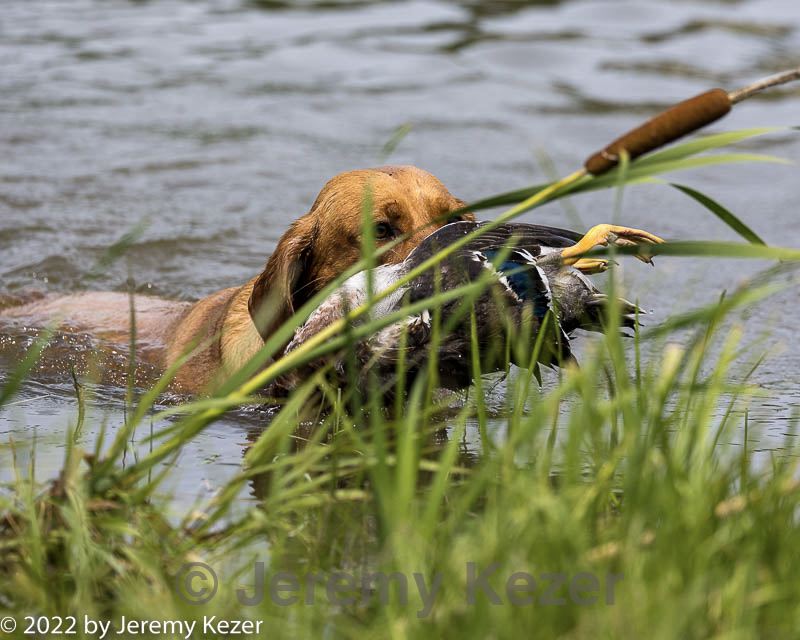20220724-jhw-1059.jpg