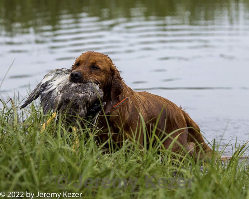 20220724-jhw-1953.jpg