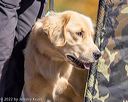 20221008-wcl-0083