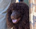 20221008-wcl-0159