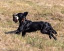 20221008-wcl-0174