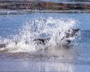 20221009-pww-0020