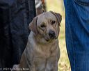 20221009-wcl-0050