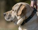 20221009-wcl-0174