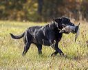 20221009-wcl-0192
