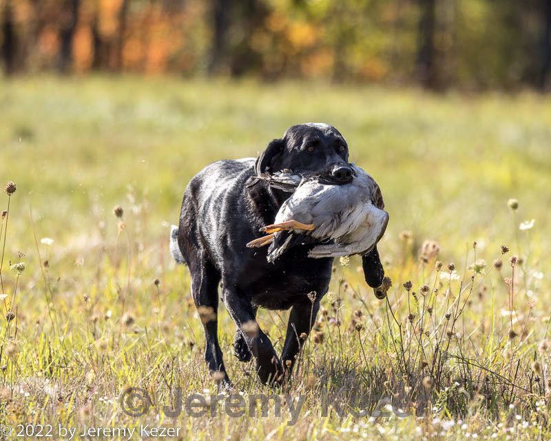 20221009-wcl-0189.jpg