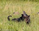 20230805-shl-0003