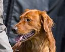 20230805-shl-0233
