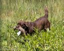 20230806-jhl-0569