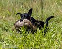 20230806-jhl-0588