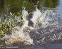 20230806-jhw-0015
