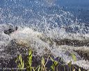20230806-jhw-0366