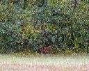 20231007-wcl-0099