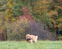 20231007-wcxl-0189
