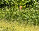 20260725-jhl-0026