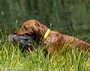 20260725-jhw-0227